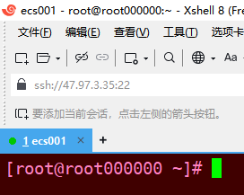 image-20241227194145080